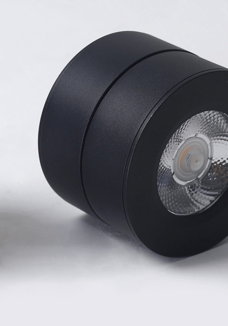 Kex LED-plafondlamp rond draaibaar verstelbaar