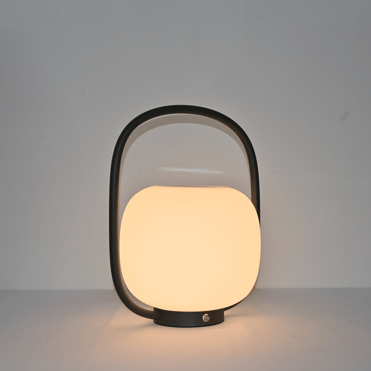 Rivoel transparant PE buitenwandlamp
