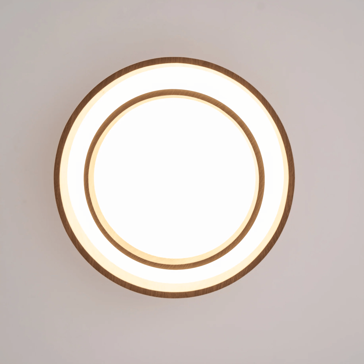 Frixen plafondlamp