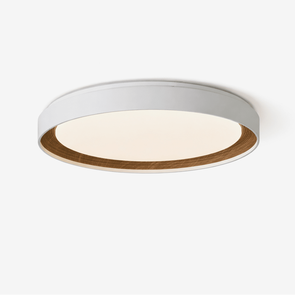 Lucien plafondlamp van acryl