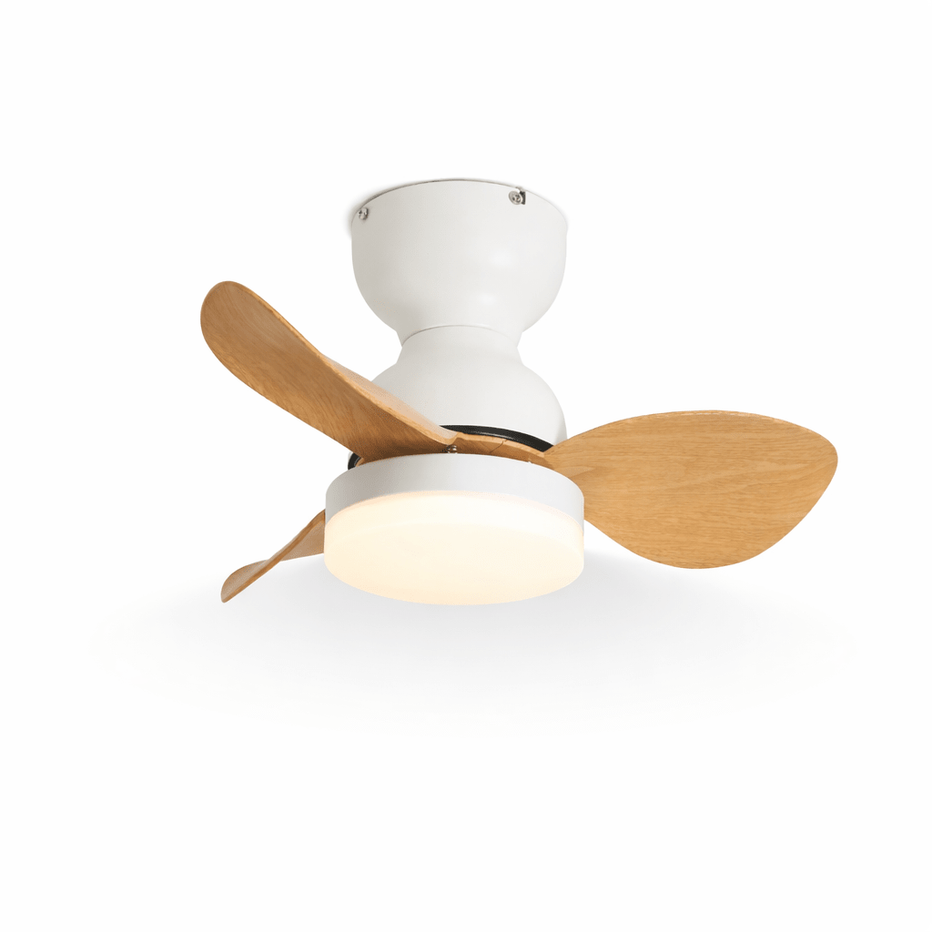Renuina plafondventilator met verlichting