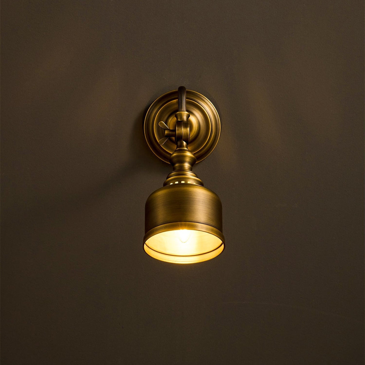 Orelelenne Gooseneck wandlamp