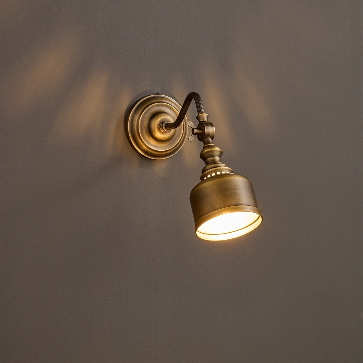 Orelelenne Gooseneck wandlamp