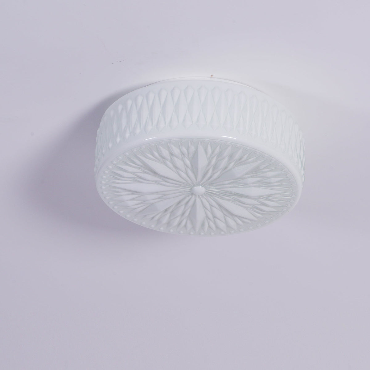 Lioriira plafondlamp glazen kap en acryl moderne maantort
