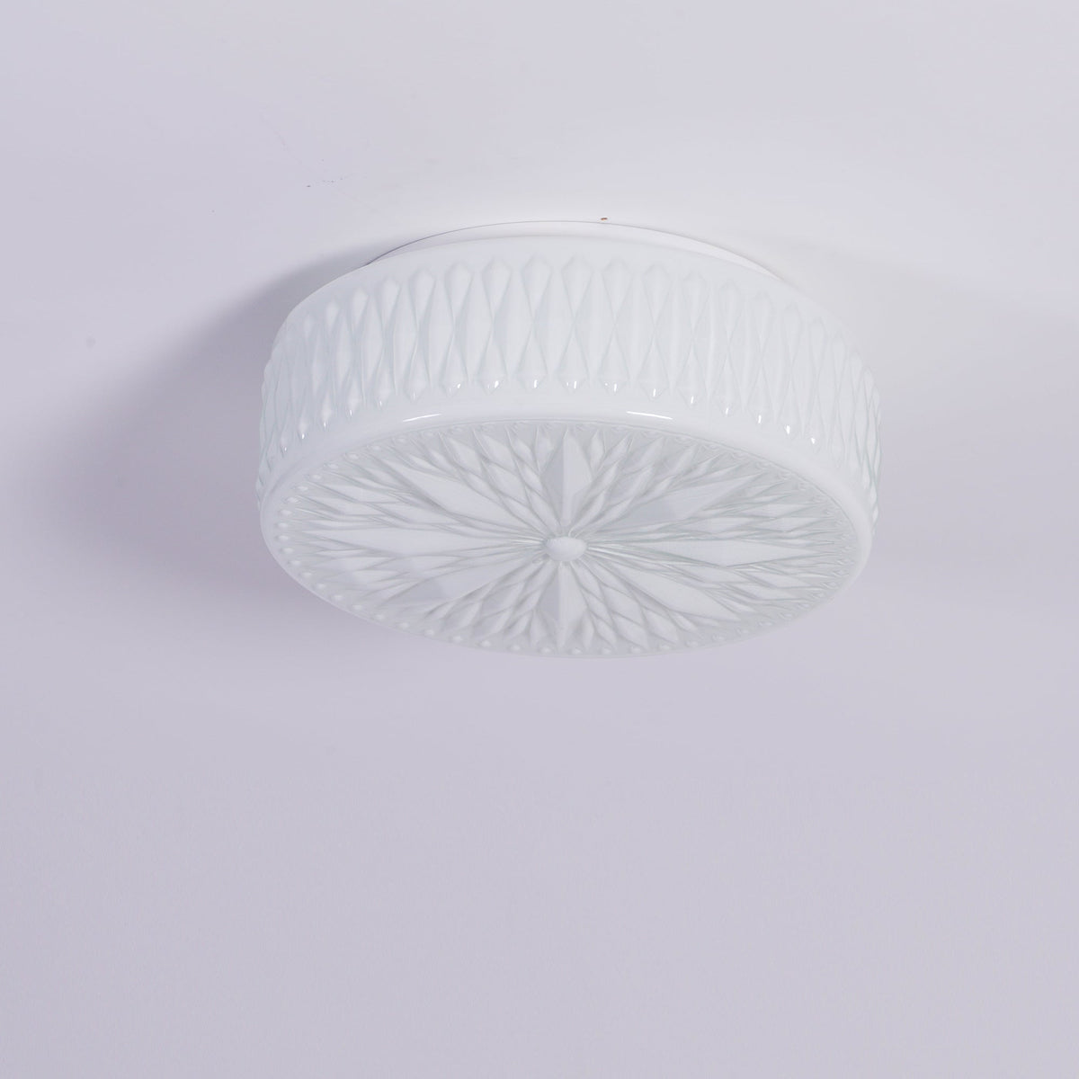 Lioriira plafondlamp glazen kap en acryl moderne maantort
