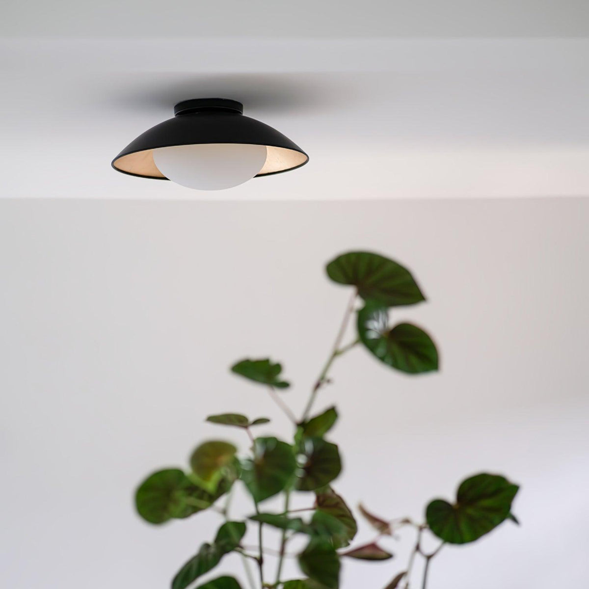 Arinora plafondlamp