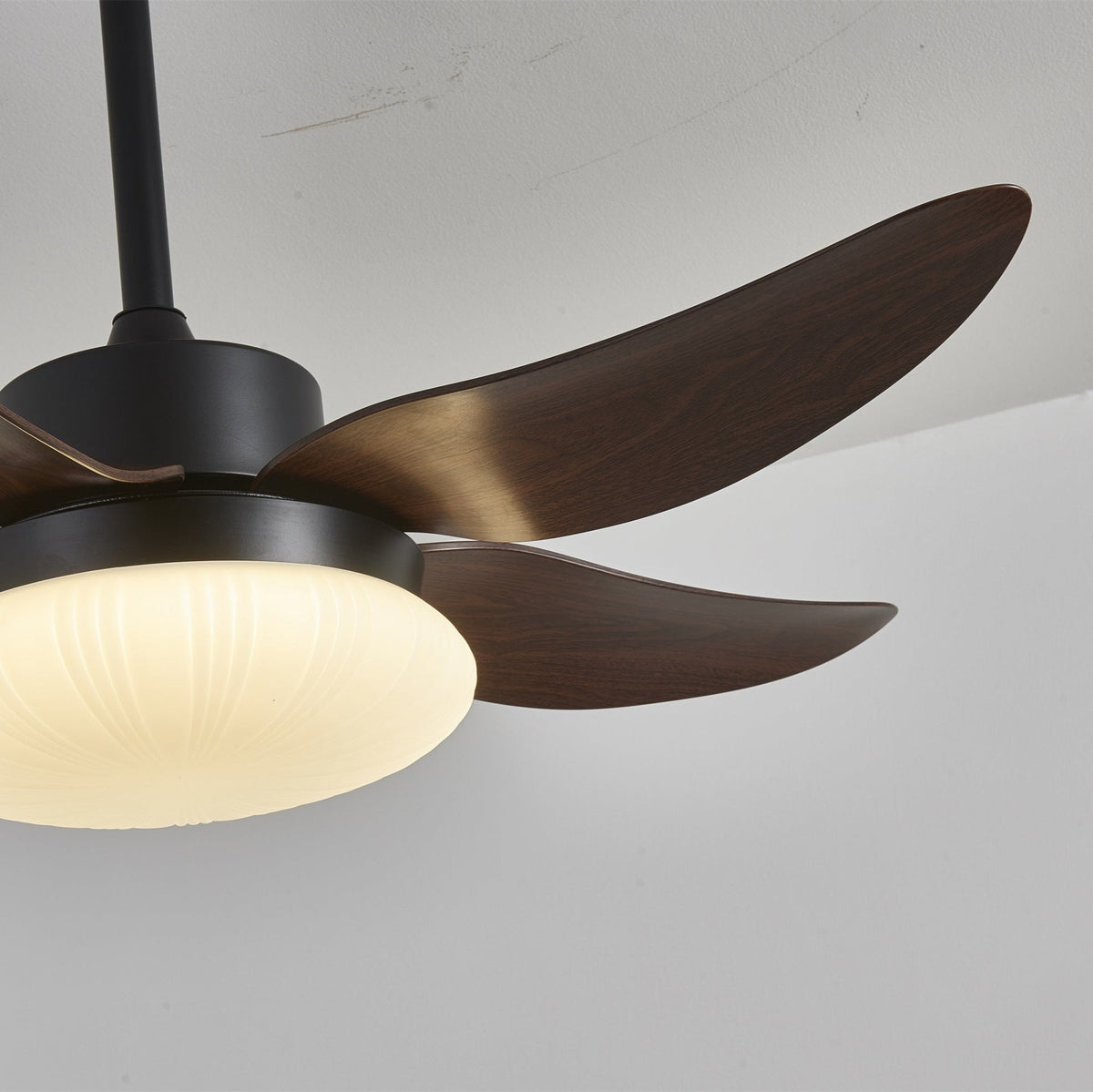 Zerith modern Hout Plafondventilator met lamp