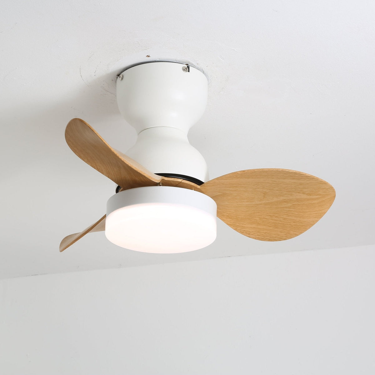 Renuina plafondventilator met verlichting