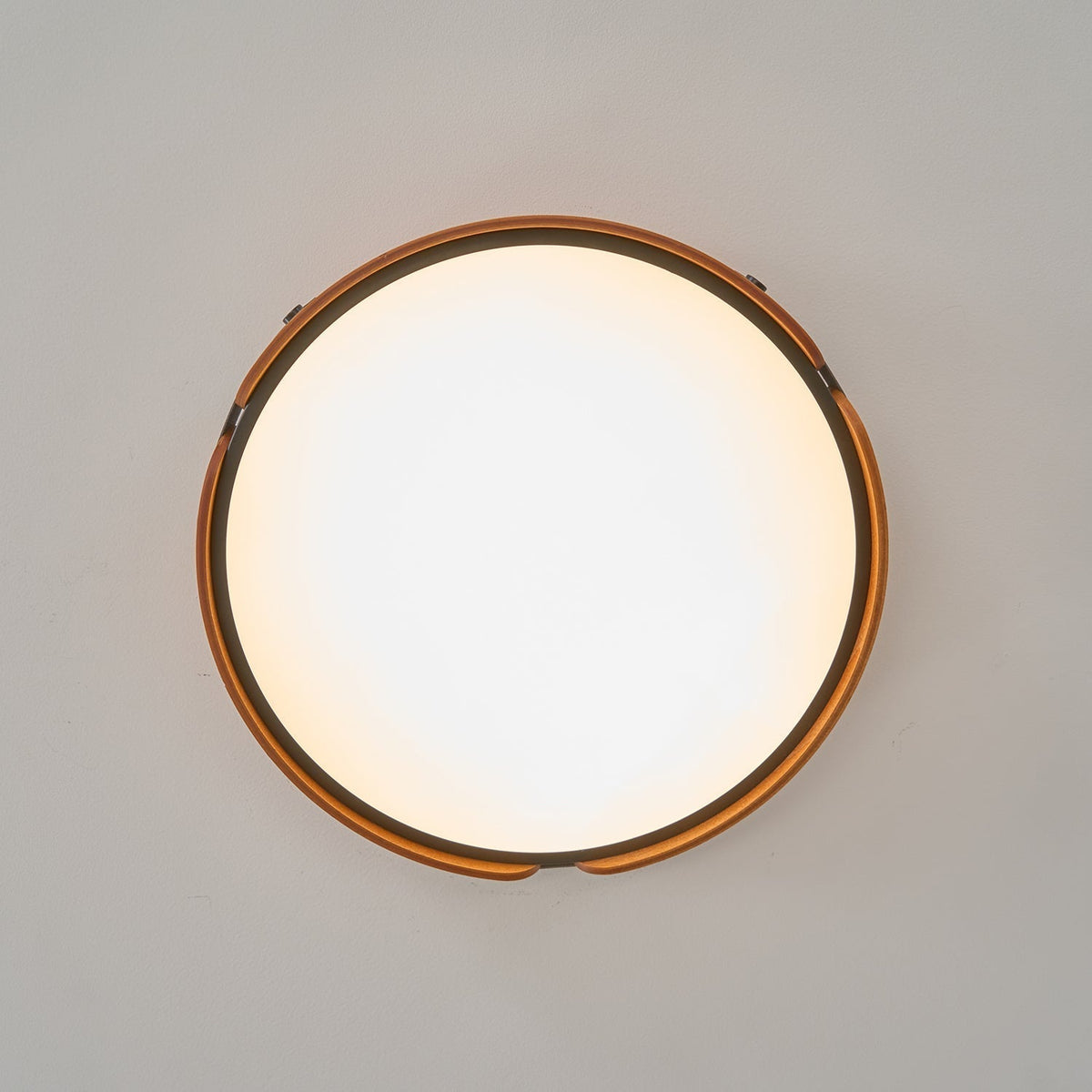Sylarina Houten plafondlamp