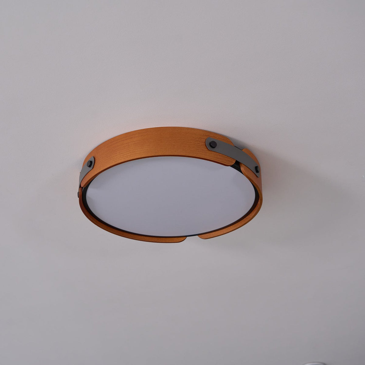 Sylarina Houten plafondlamp