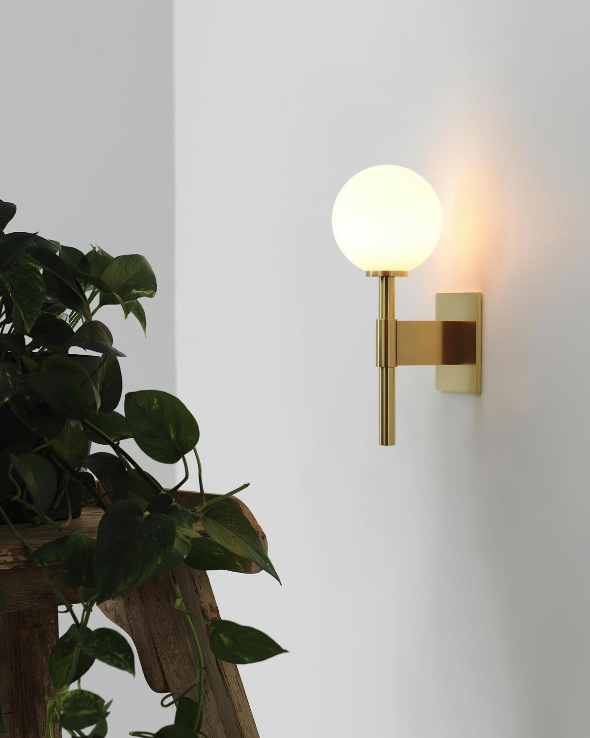 Veleneria wandlamp