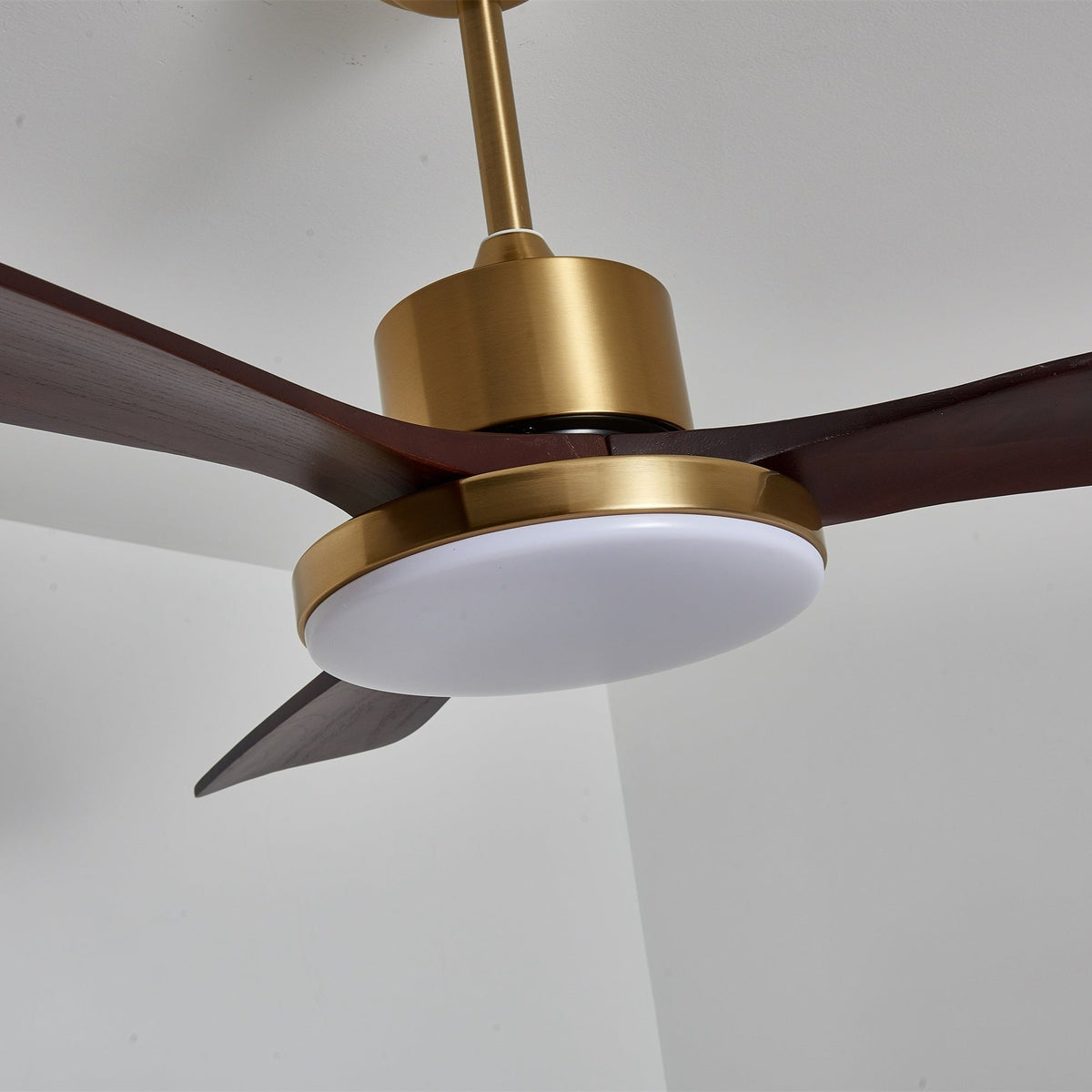 Xen Moderne plafondventilator met verlichting van walnoothout
