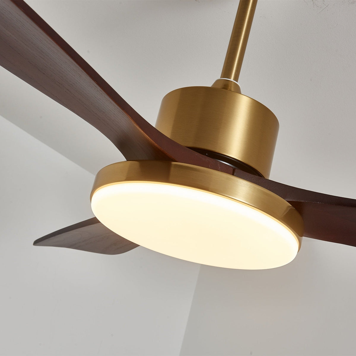 Xen Moderne plafondventilator met verlichting van walnoothout