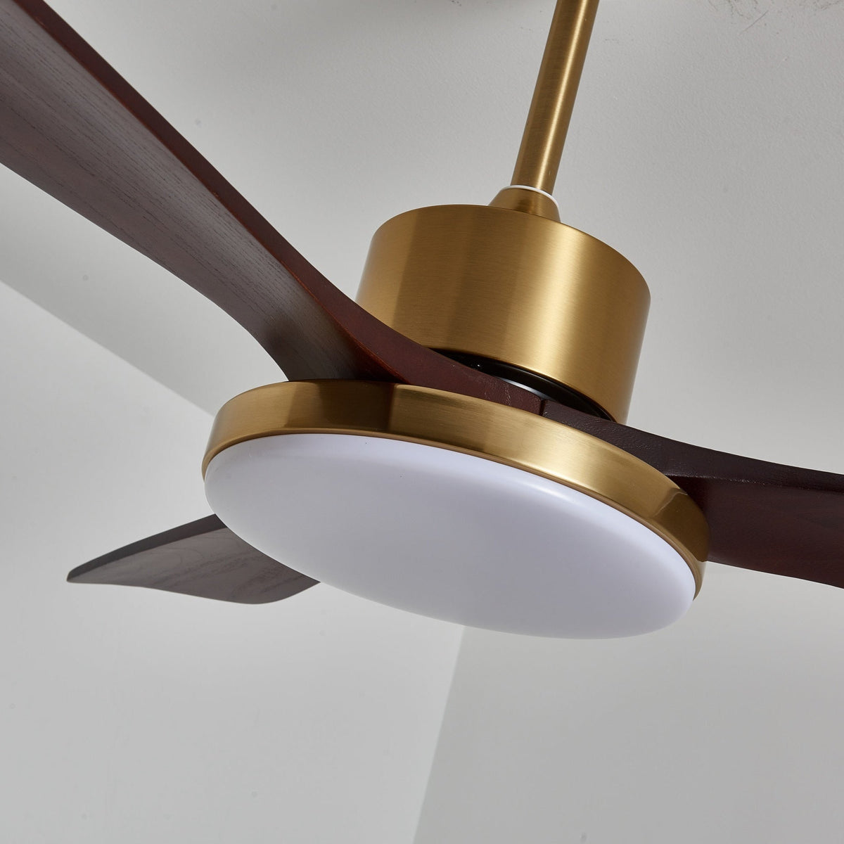 Xen Moderne plafondventilator met verlichting van walnoothout