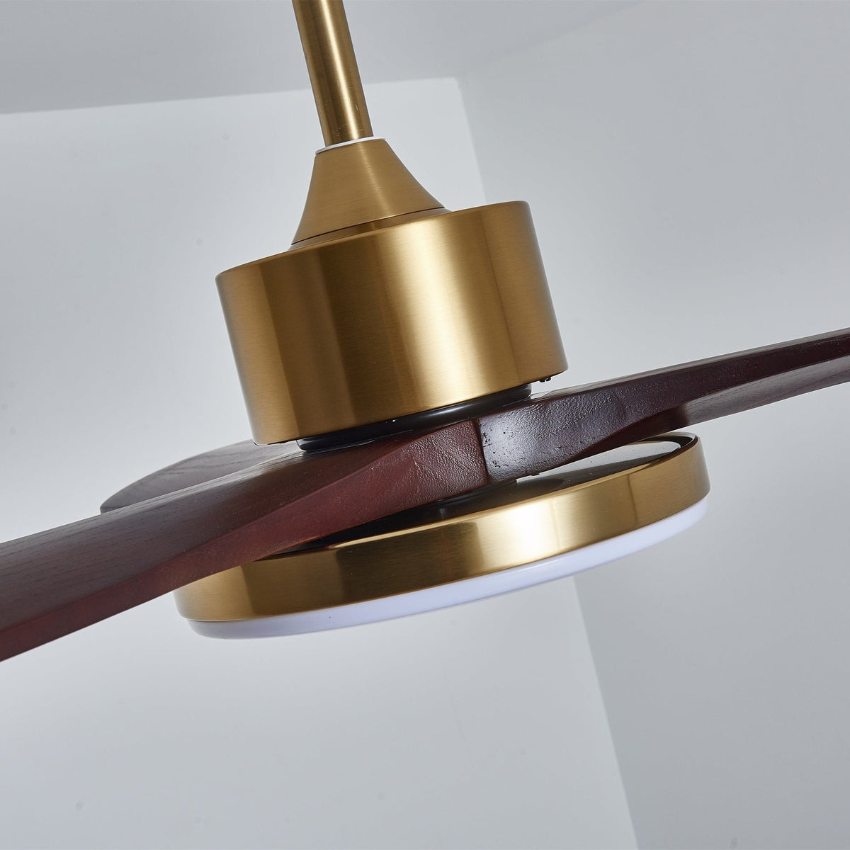 Xen Moderne plafondventilator met verlichting van walnoothout