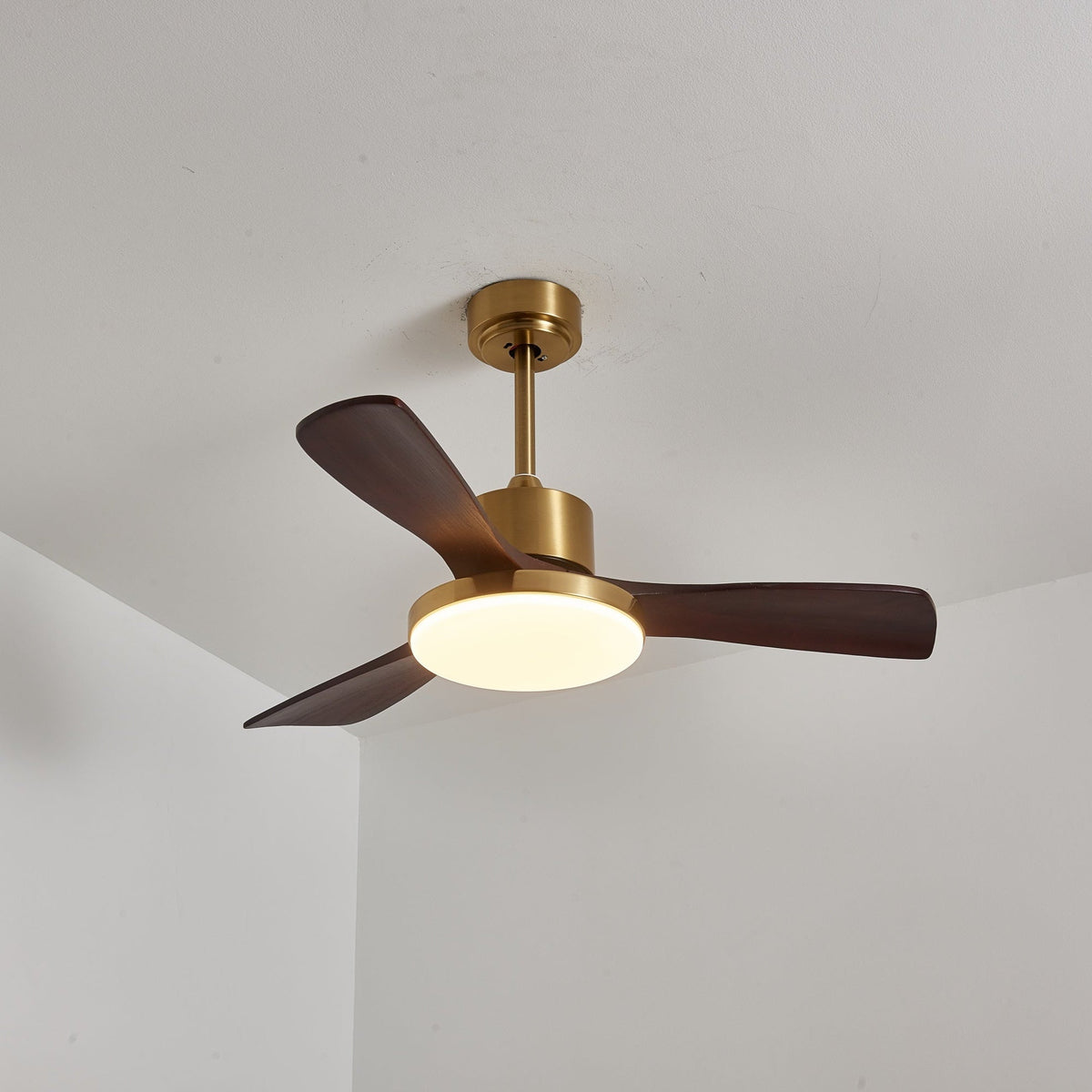 Xen Moderne plafondventilator met verlichting van walnoothout