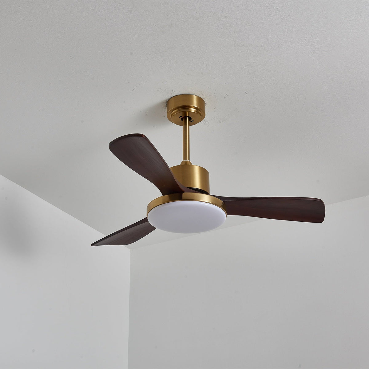 Xen Moderne plafondventilator met verlichting van walnoothout