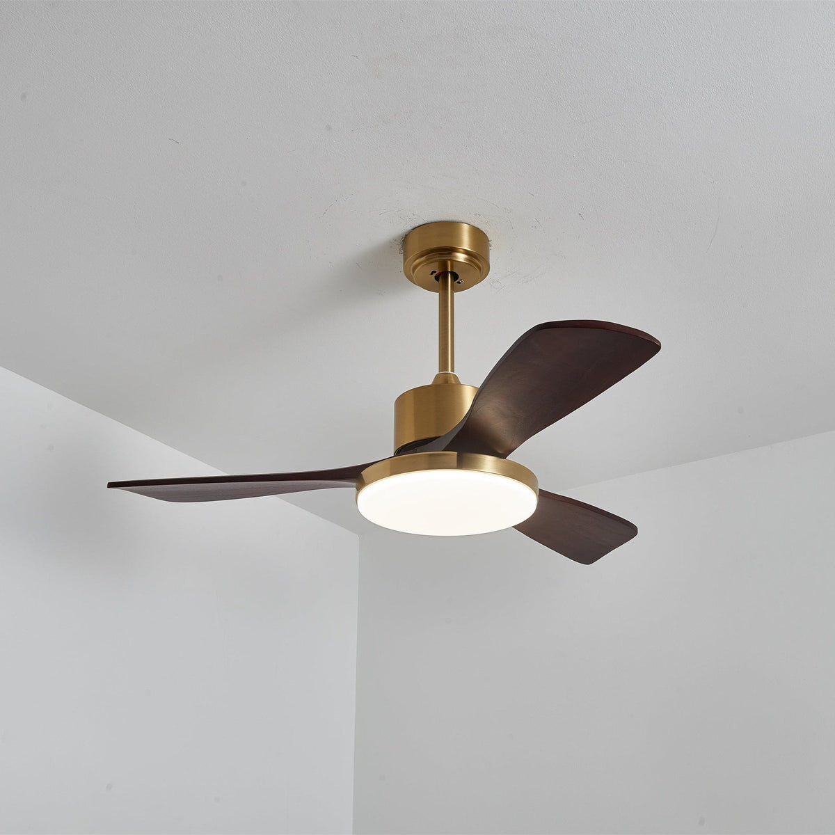Xen Moderne plafondventilator met verlichting van walnoothout