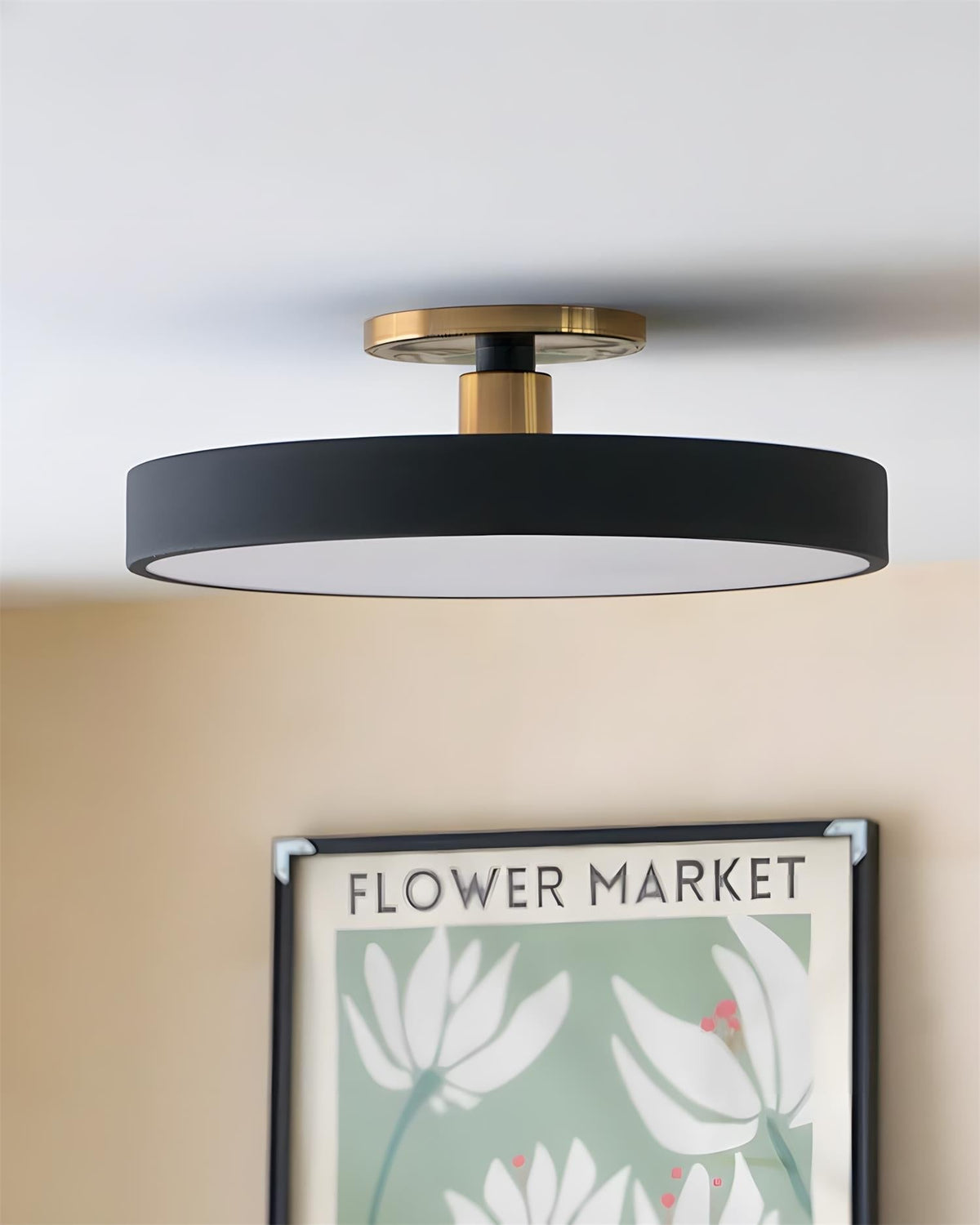 Oreleiella plafondlamp