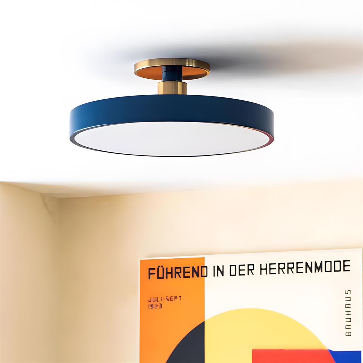 Oreleiella plafondlamp