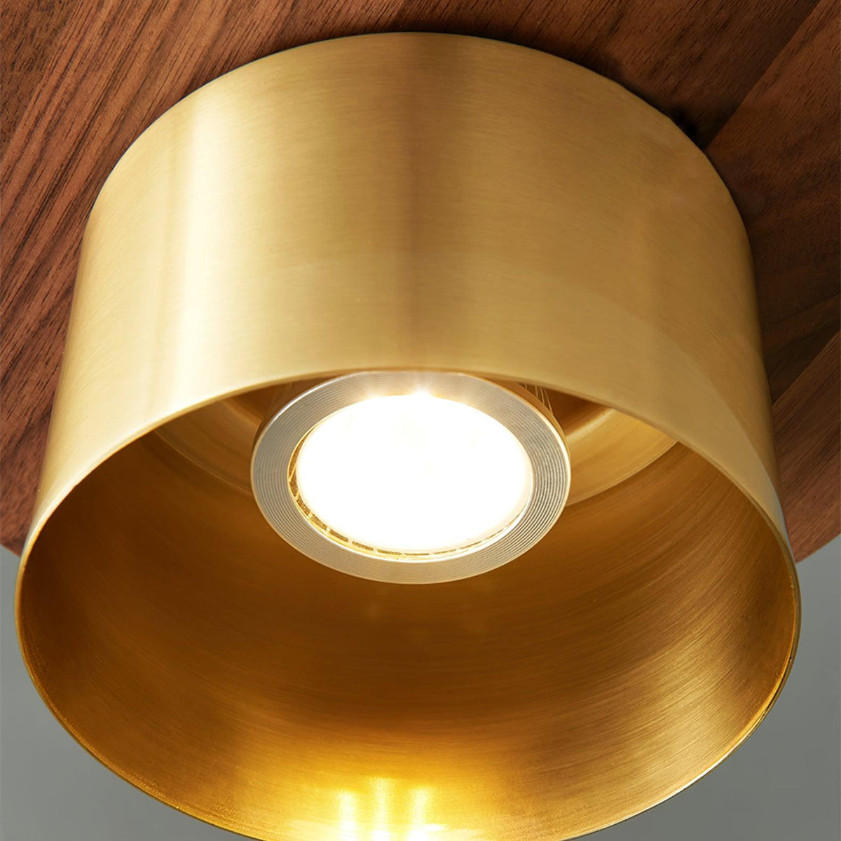 Auririra industriële hanglamp van messing en walnoot