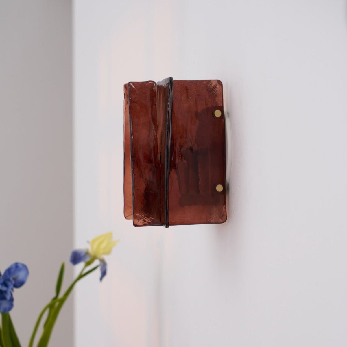 Erove wandlamp met glas Kunstwerk