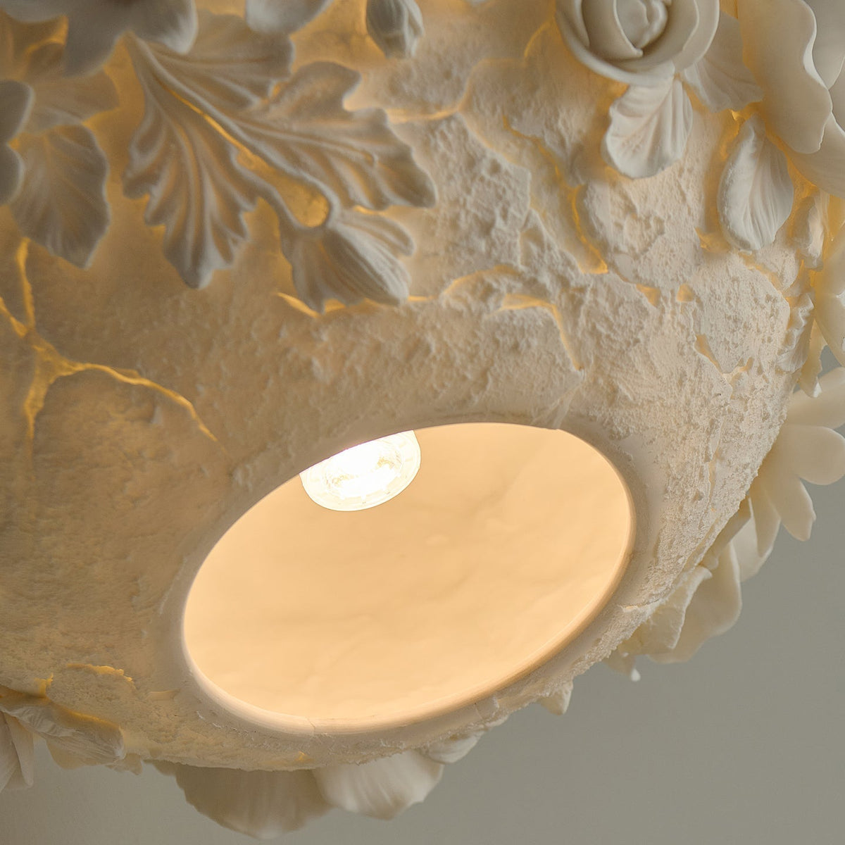 Liorineria hanglamp