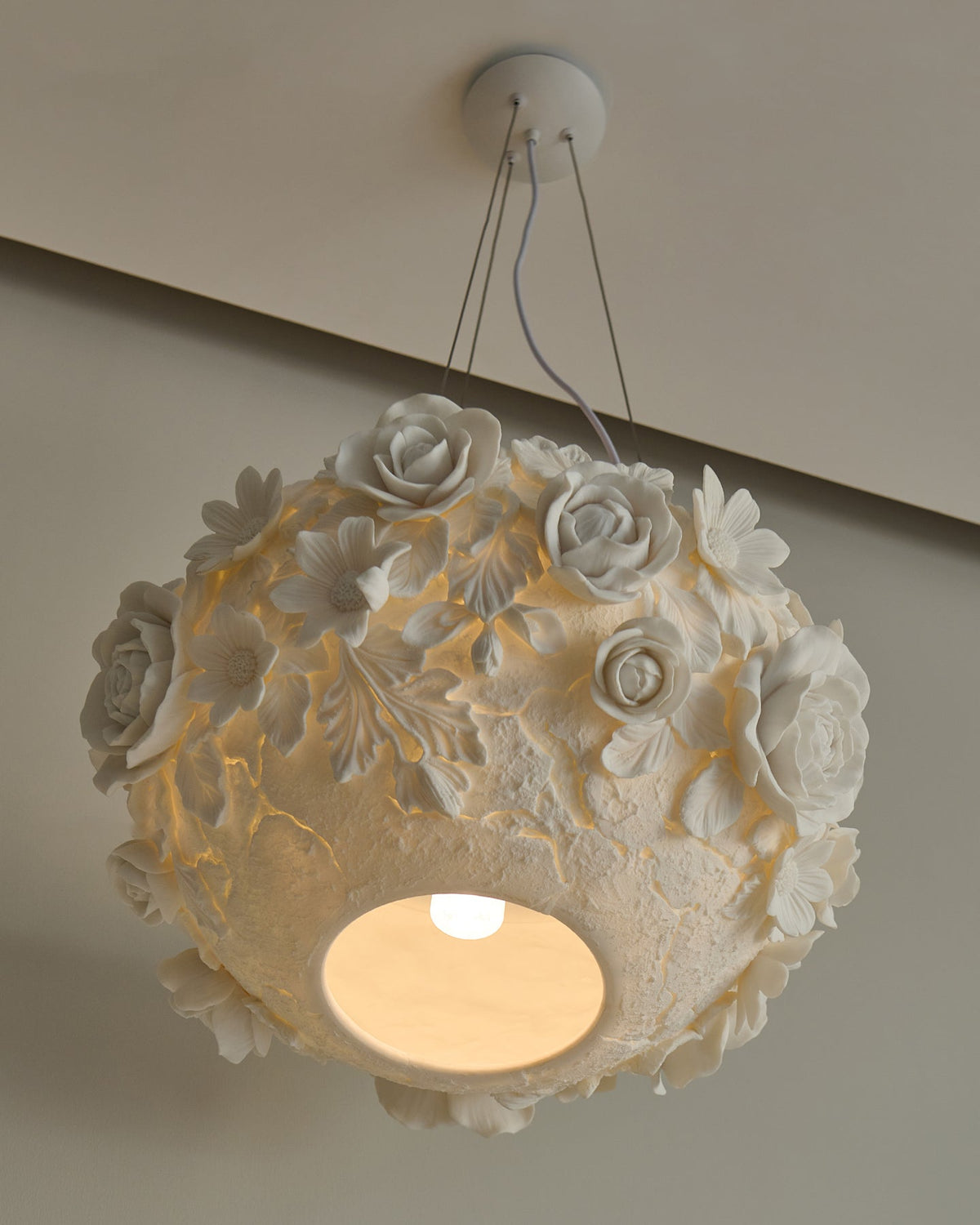 Liorineria hanglamp