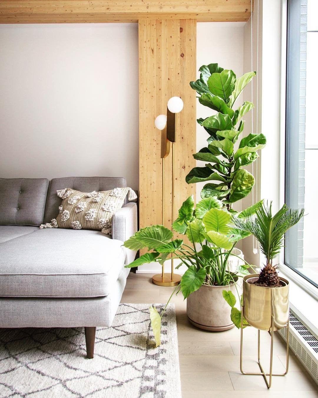 Eirelelia elegante hanglamp met glas
