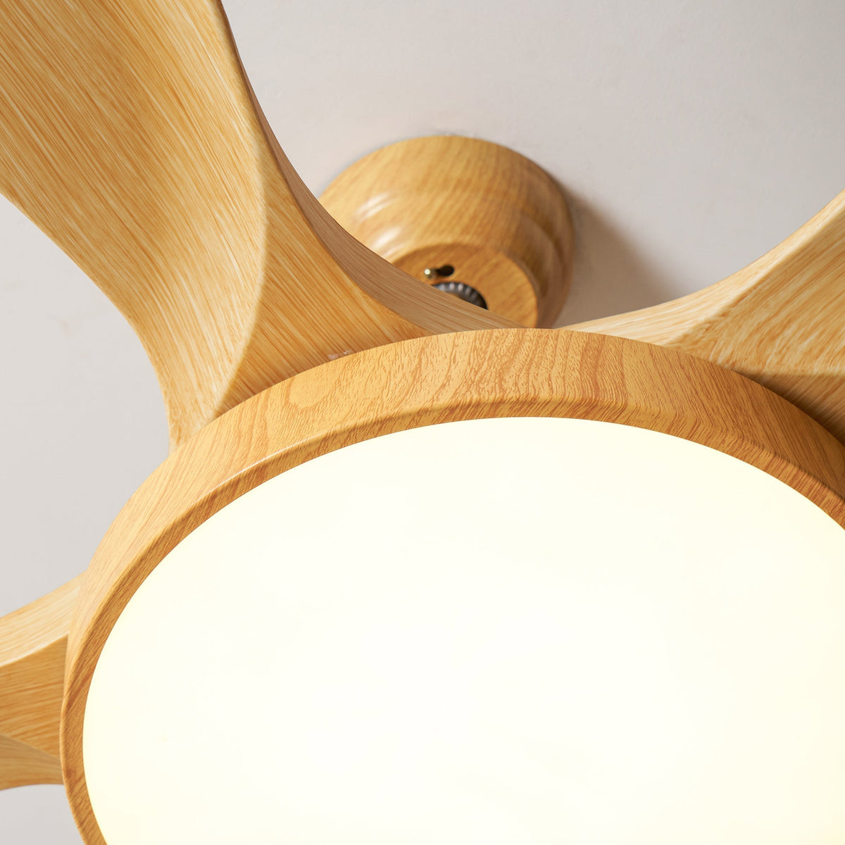 Teriinena plafondventilator met verlichting