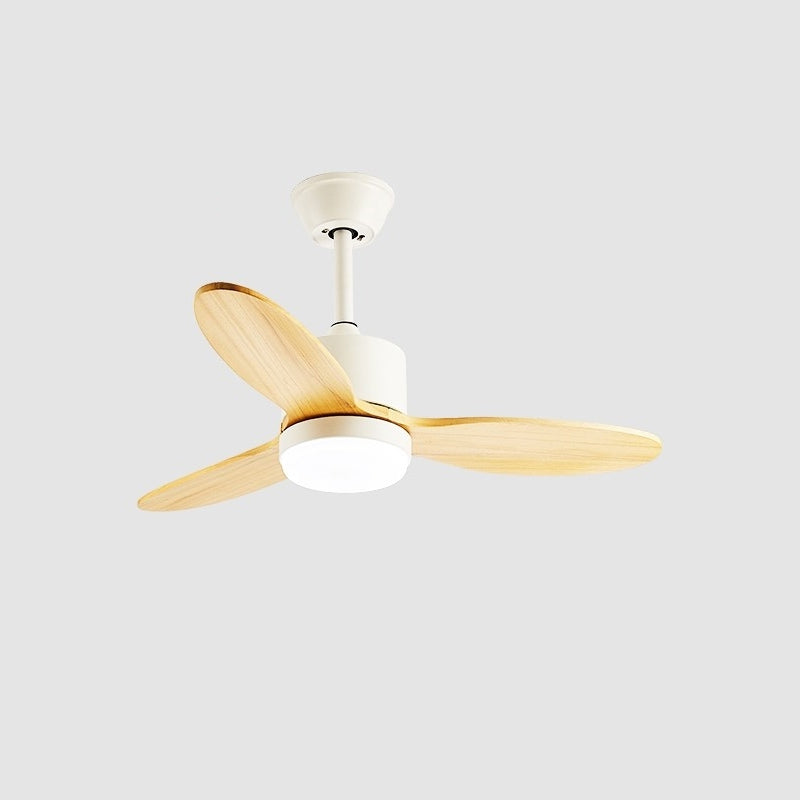 Rivaraine plafondventilator met verlichting