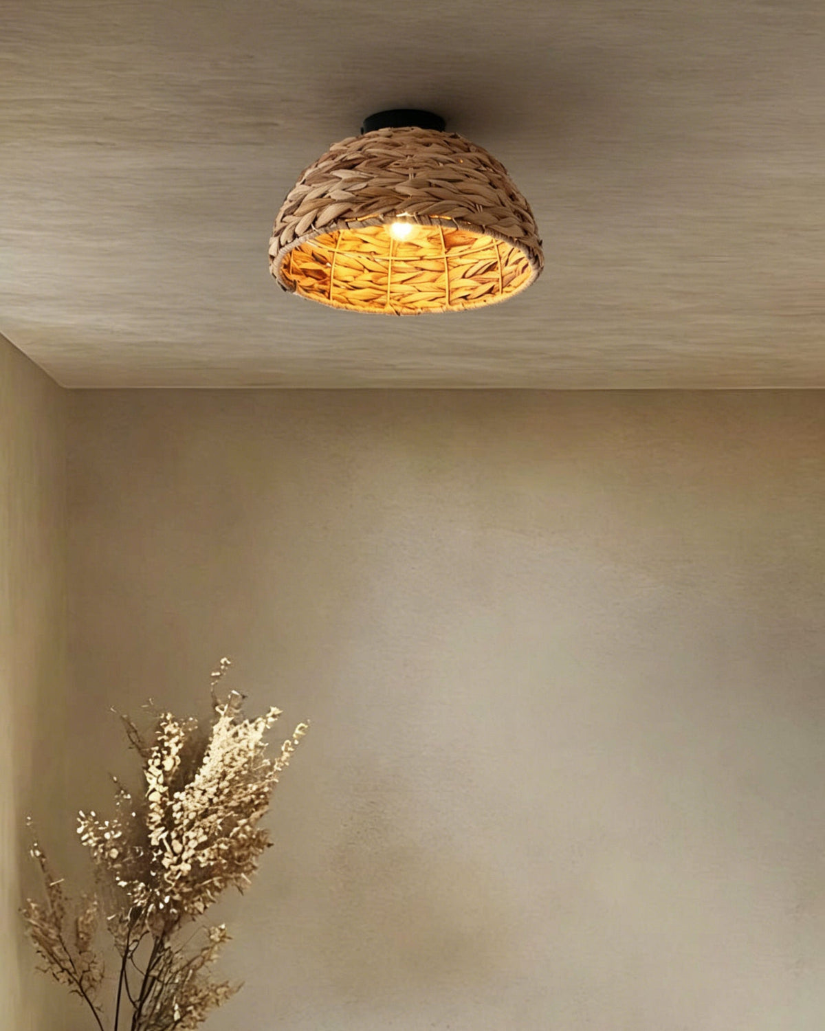 Elauiella plafondlamp