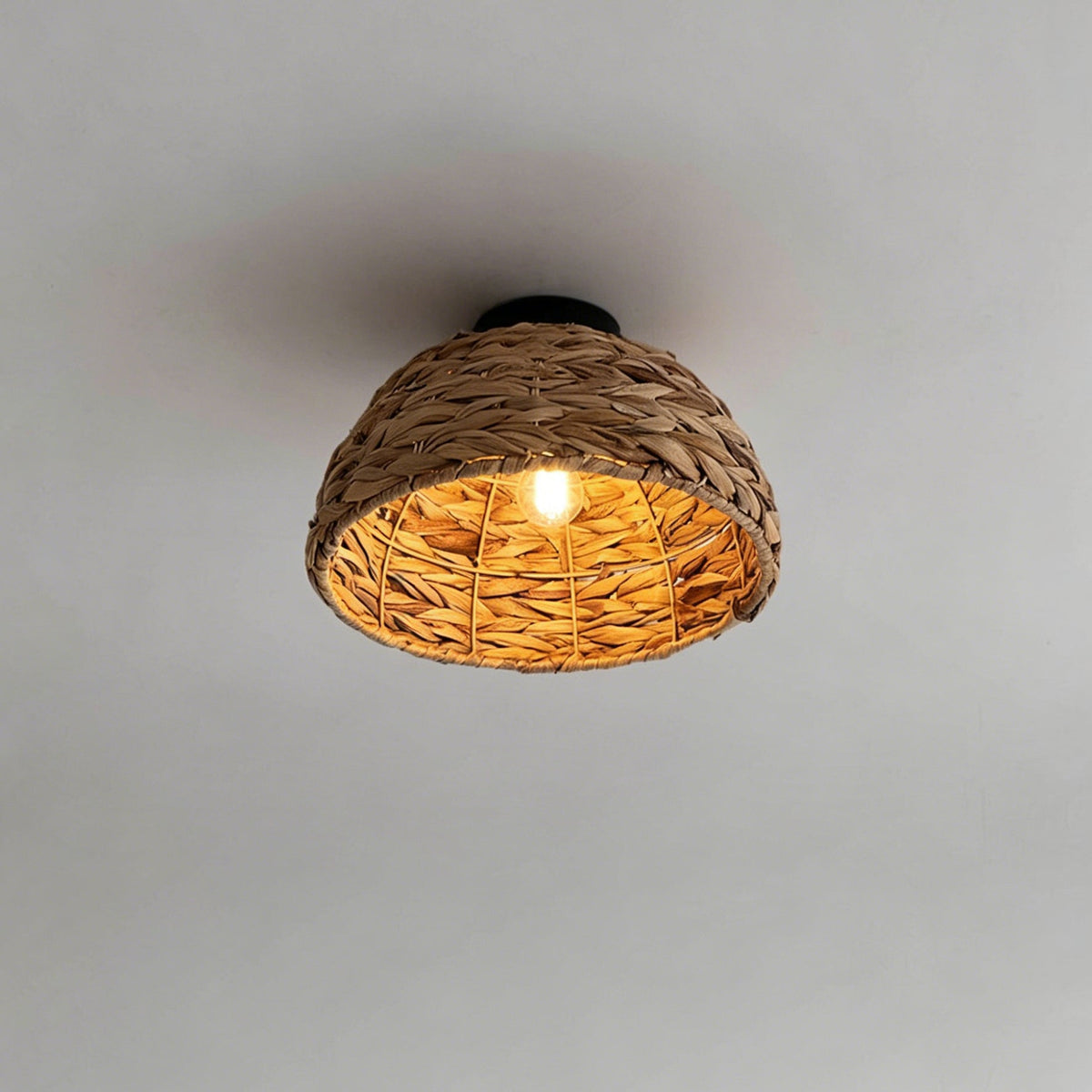 Elauiella plafondlamp