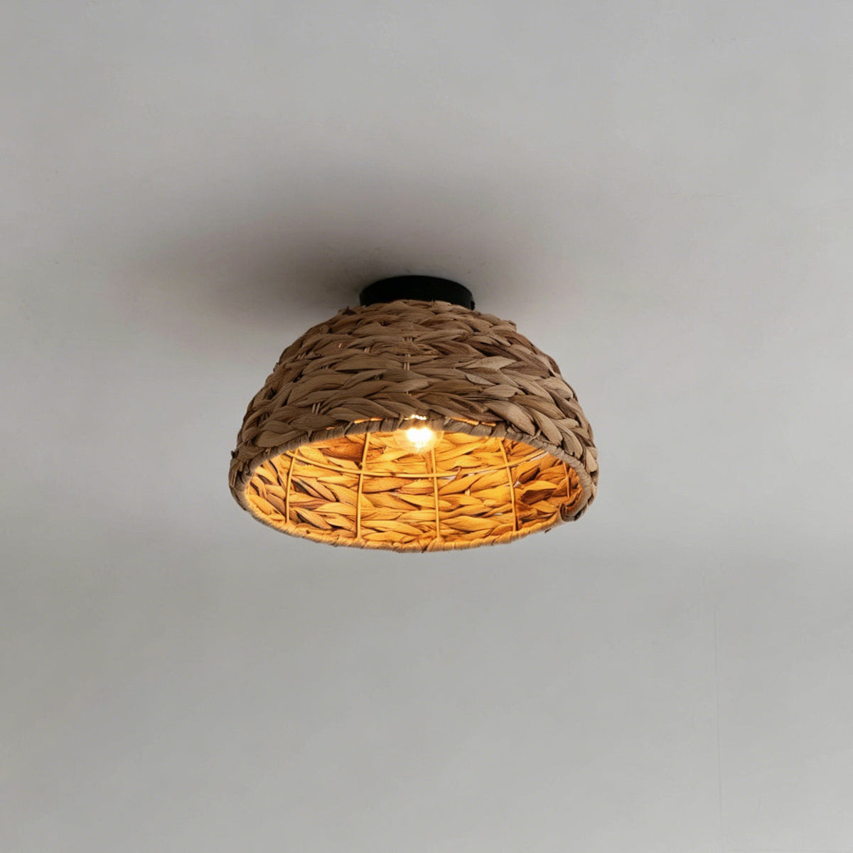 Elauiella plafondlamp