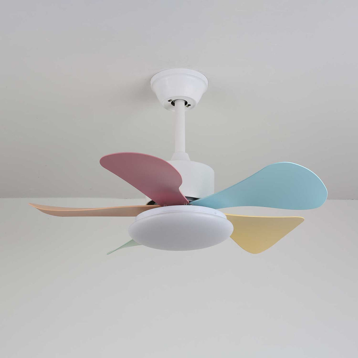 Celoia kleurrijke plafondventilator met verlichting van glas