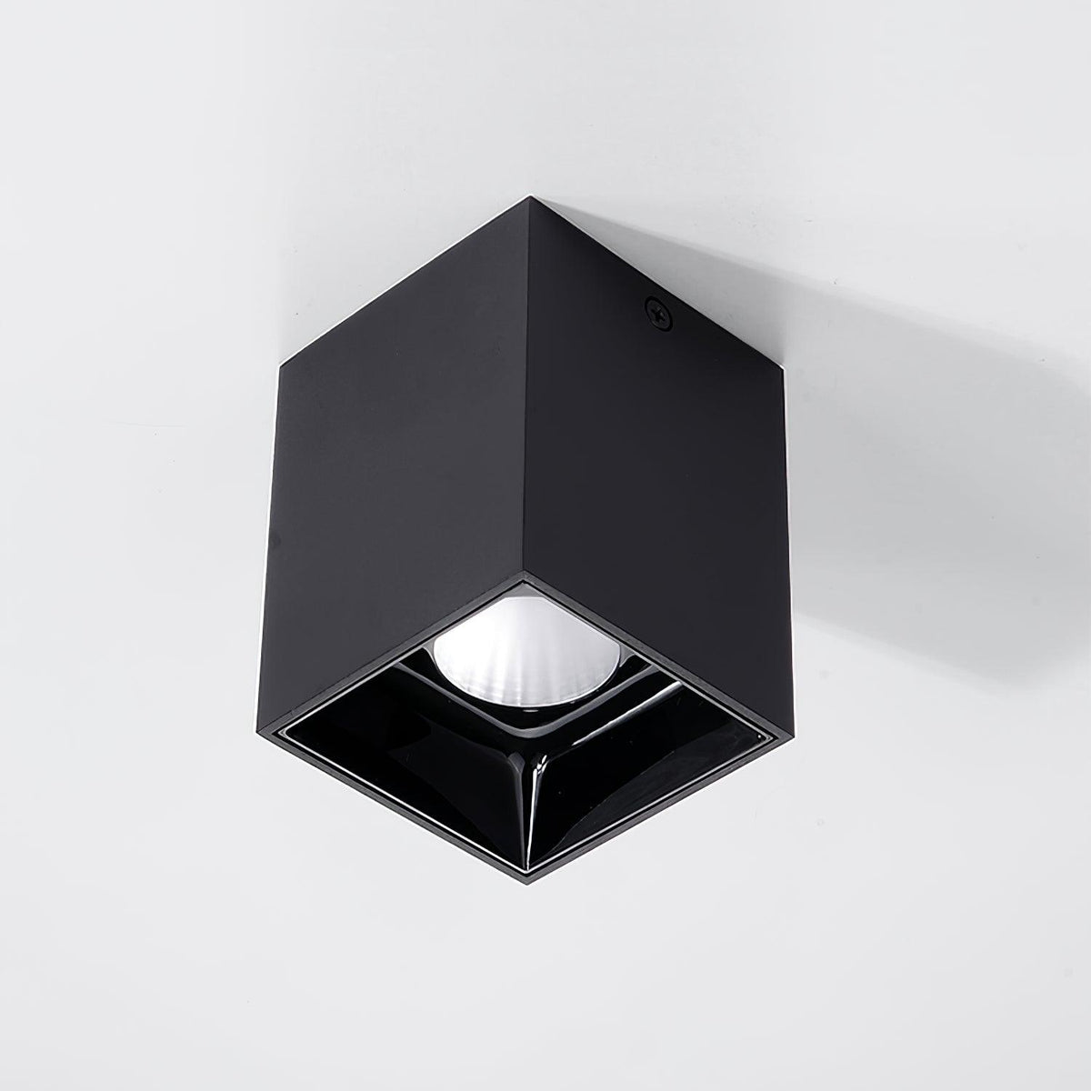 Orelaniella plafondlamp vierkant zwart spotlight
