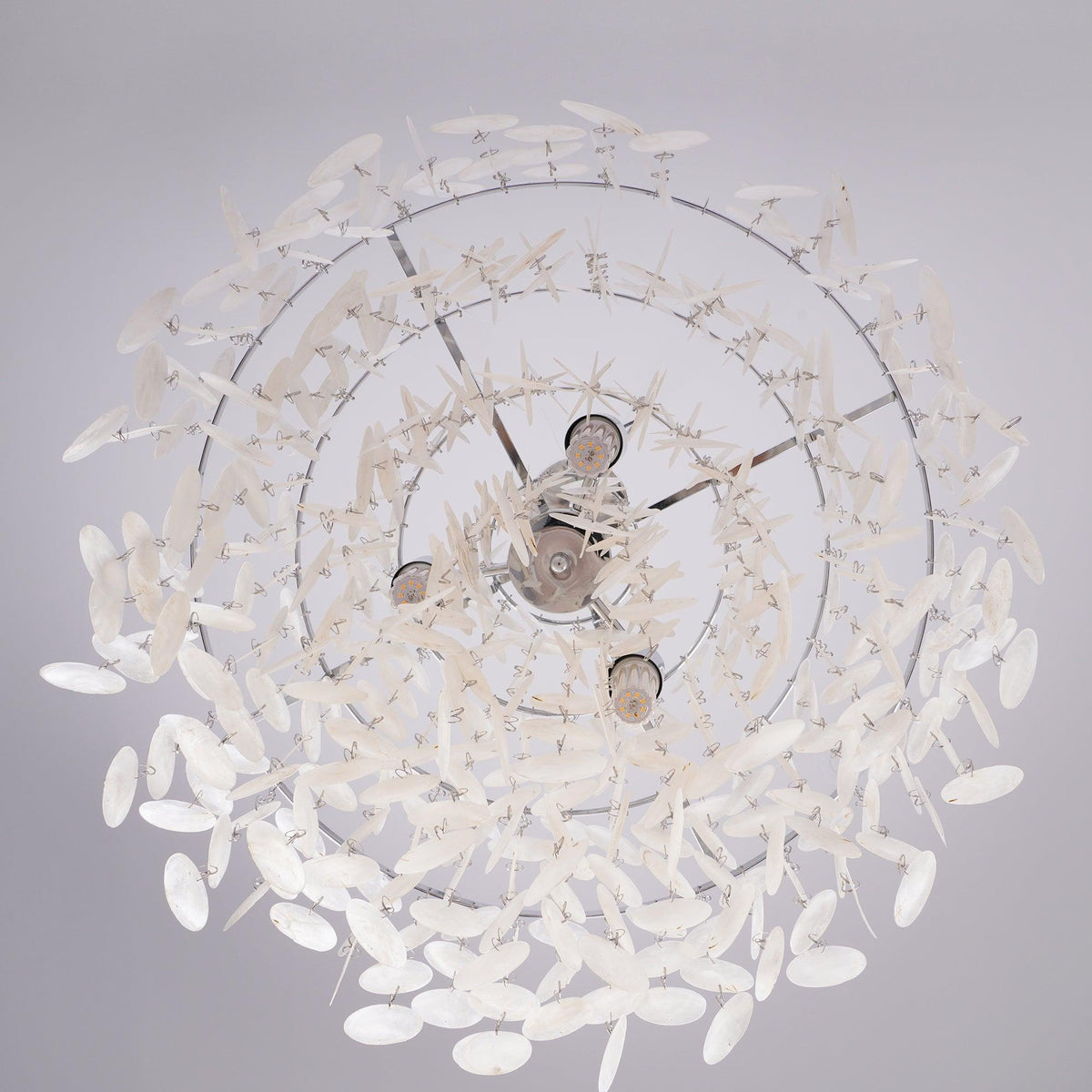 Rivena hanglamp Ronde Schelp Ring