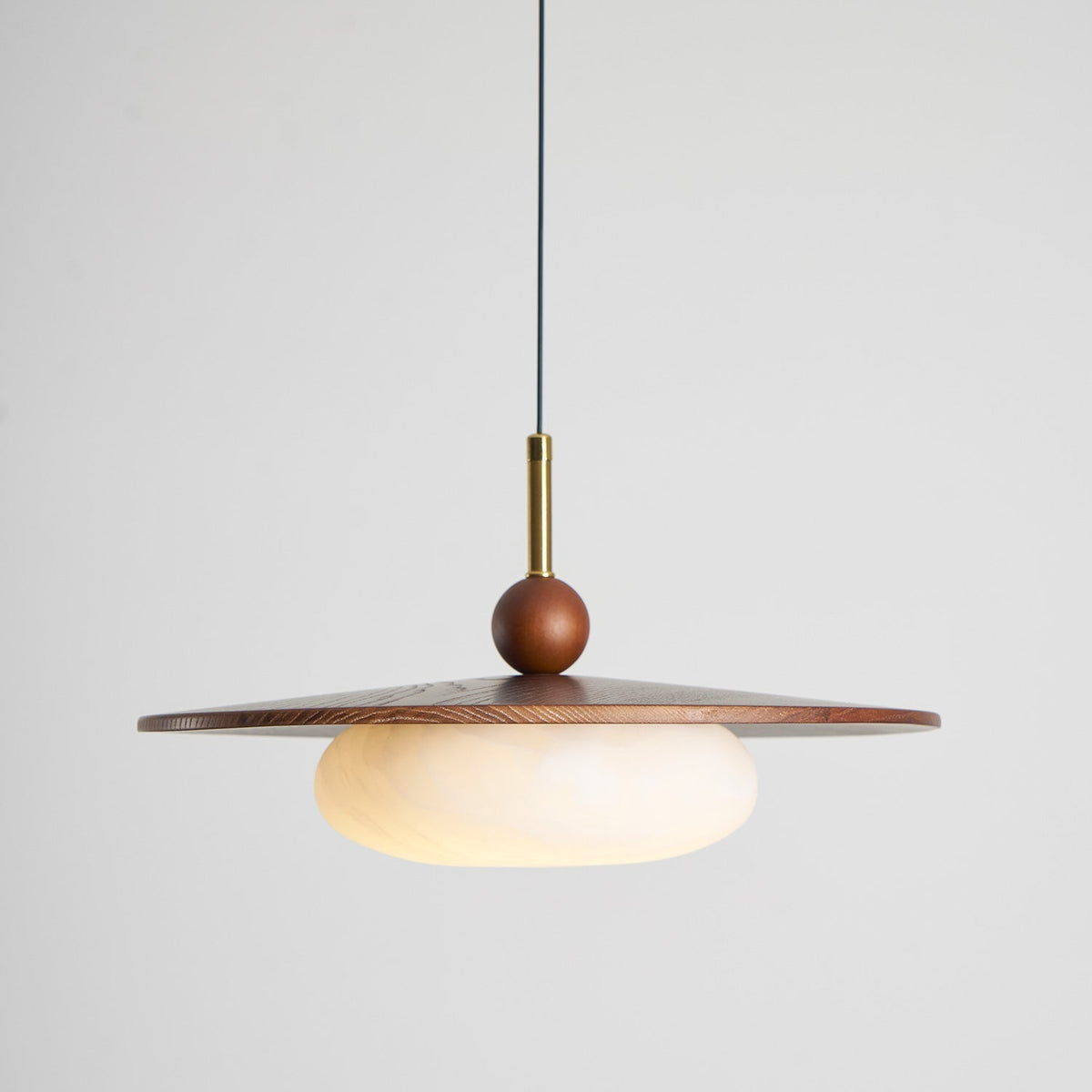 Viraeriella hanglamp