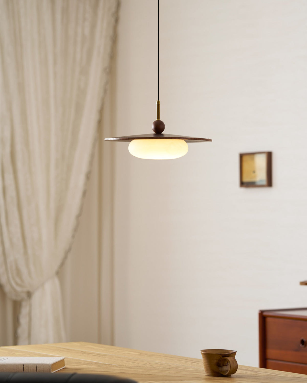 Viraeriella hanglamp