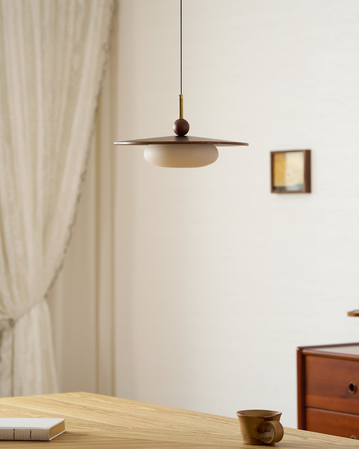 Viraeriella hanglamp