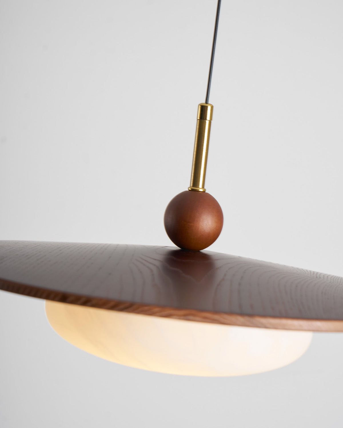 Viraeriella hanglamp