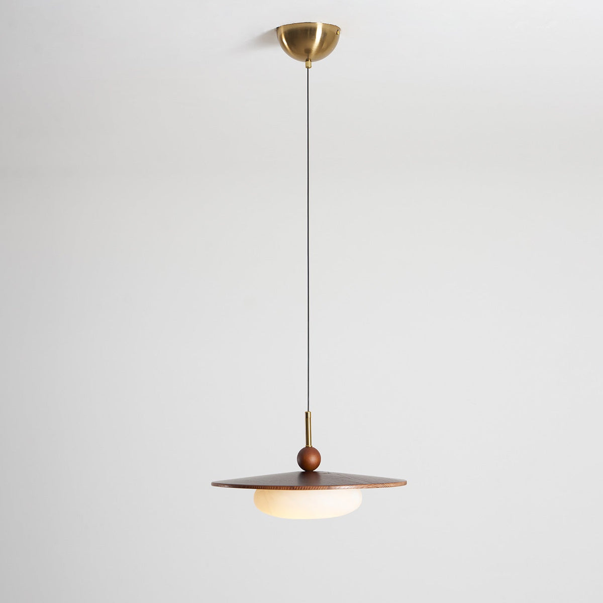 Viraeriella hanglamp