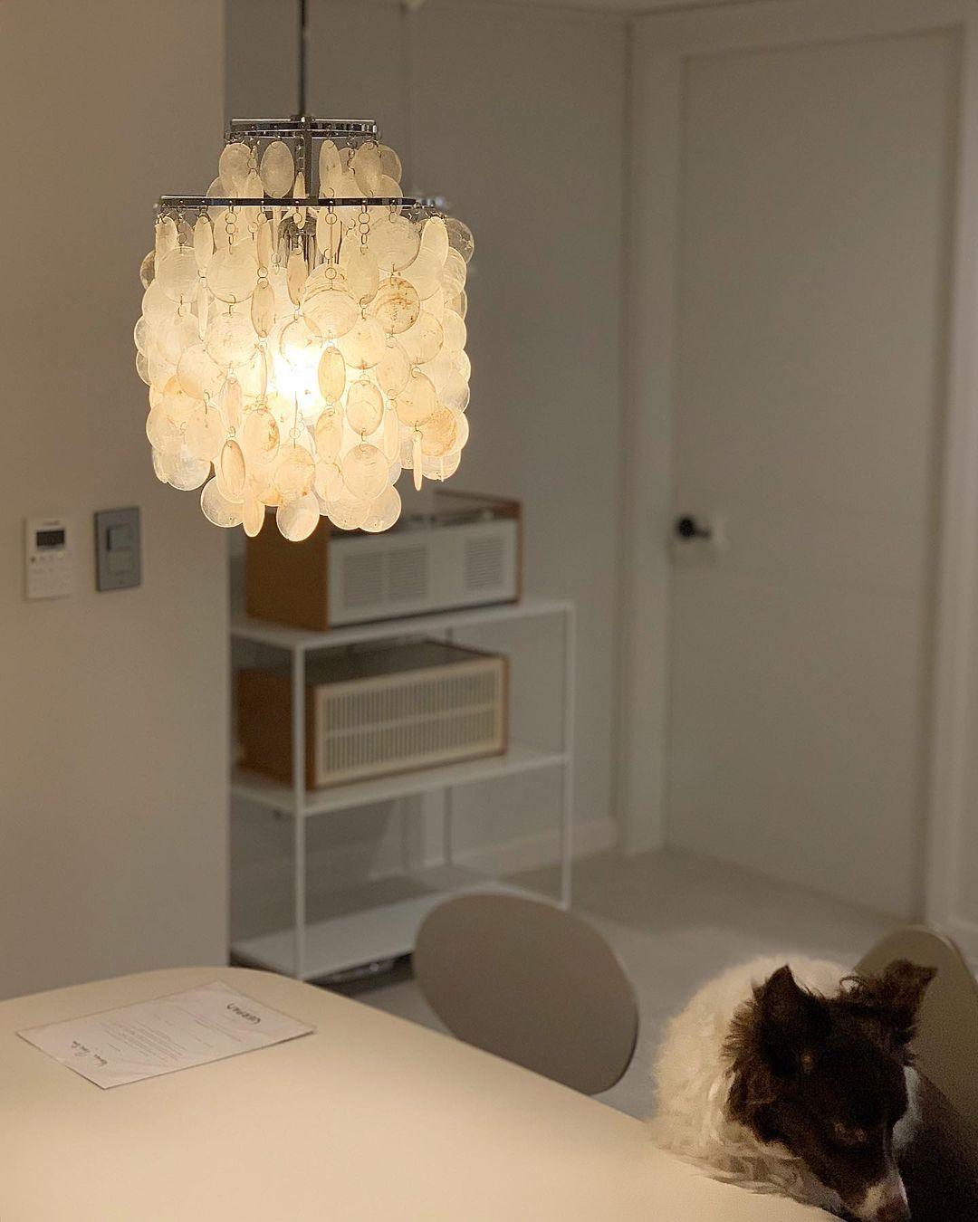 Rivena hanglamp Ronde Schelp Ring