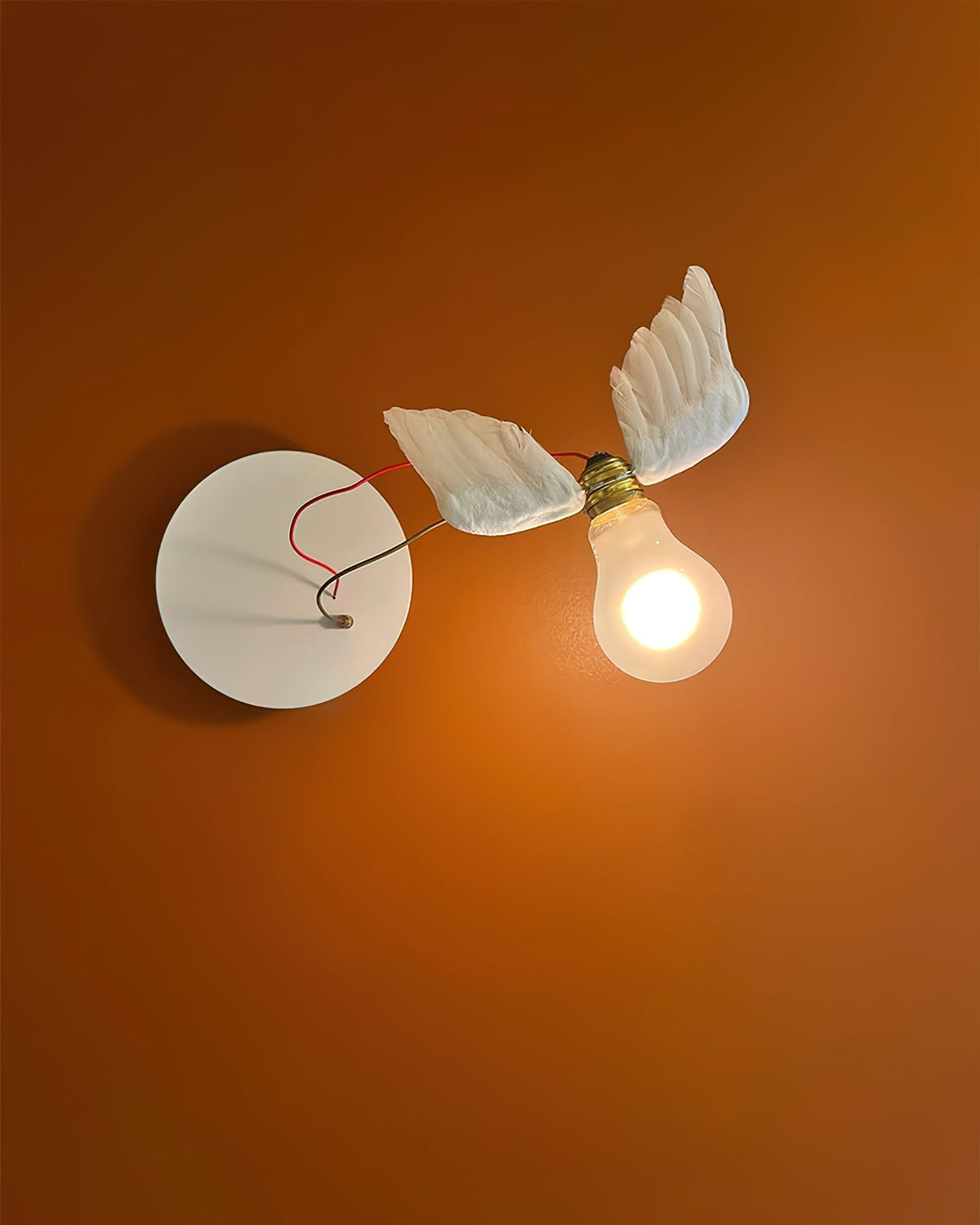 Lioranaria wandlamp