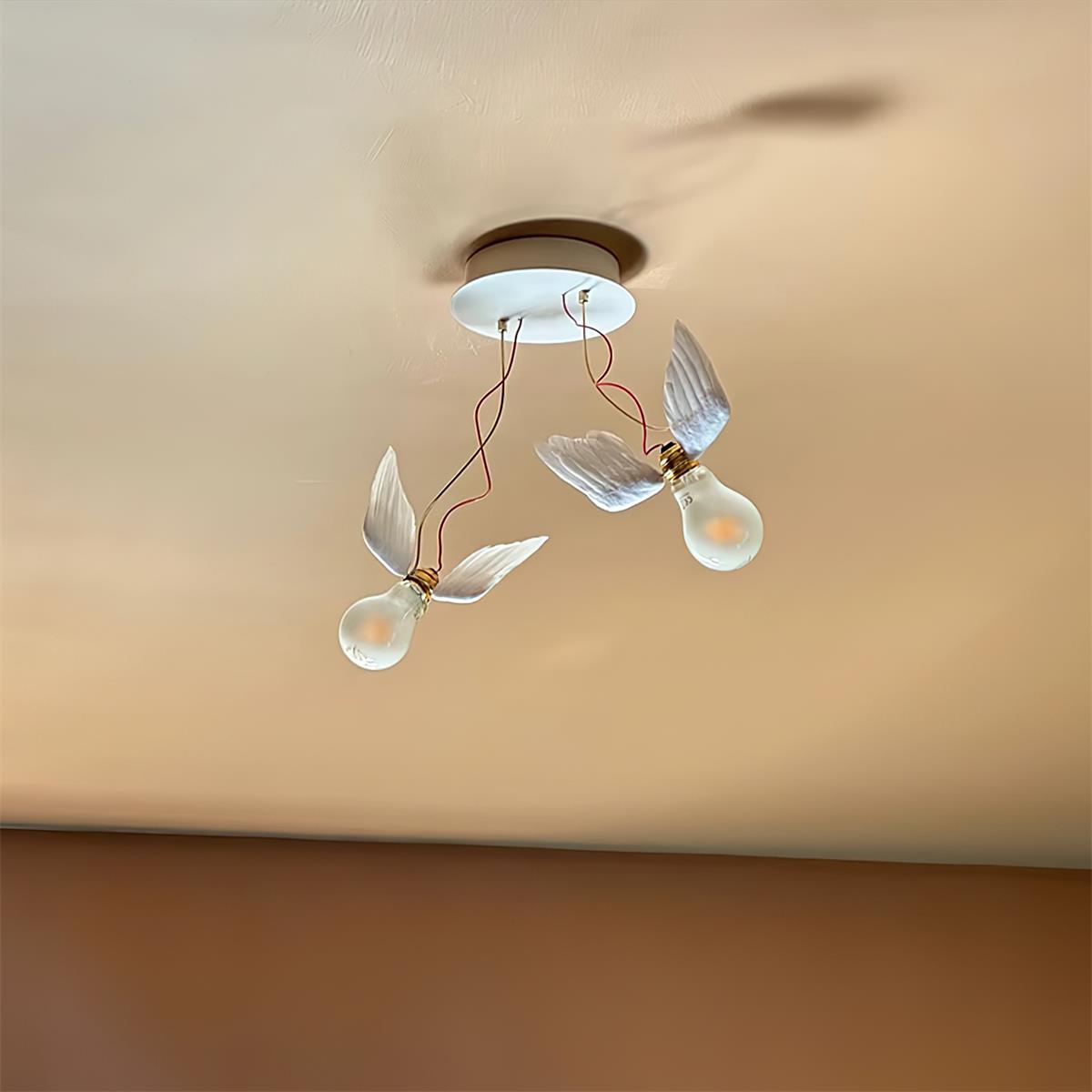 Lioranaria wandlamp