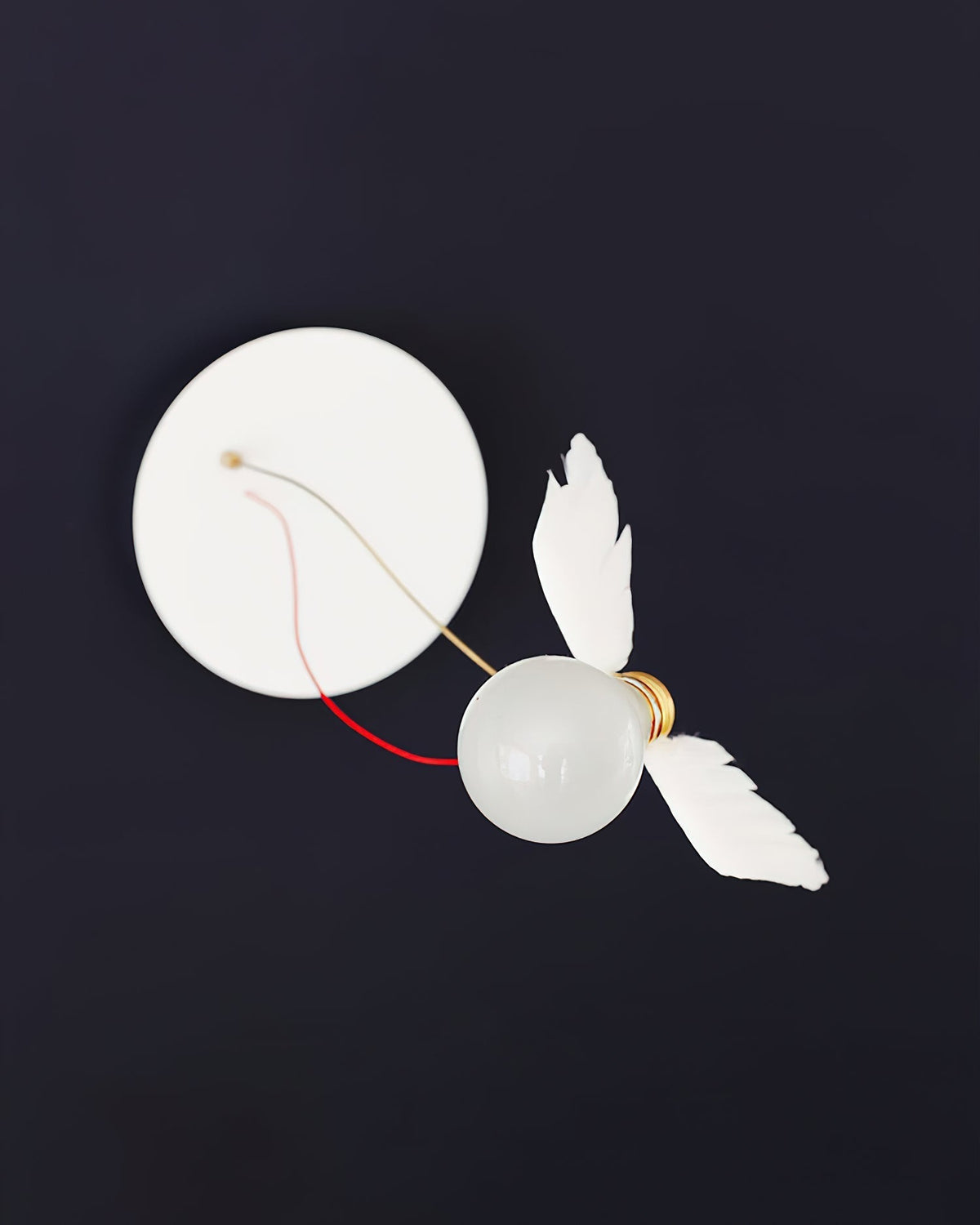 Lioranaria wandlamp