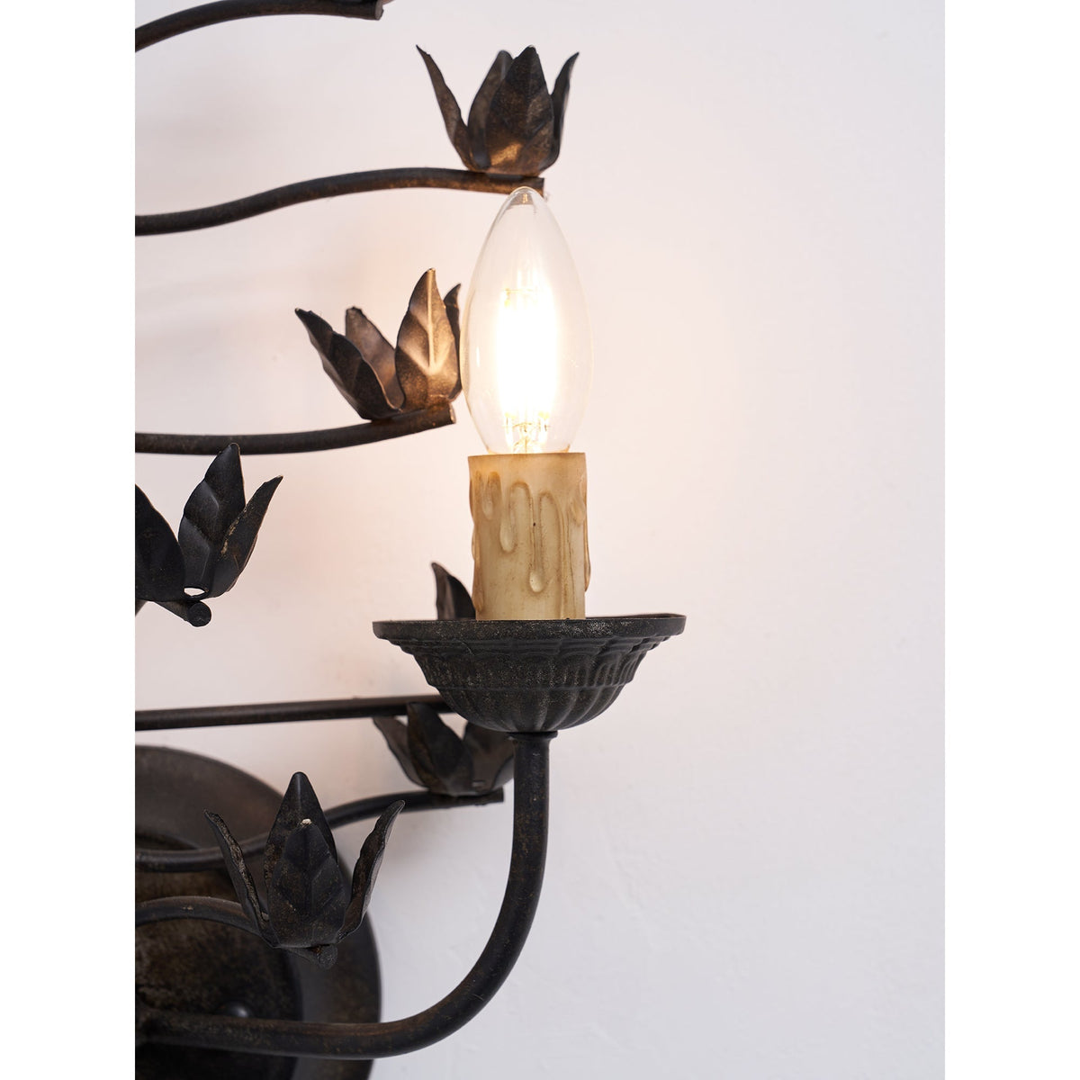 Elaerelia wandlamp