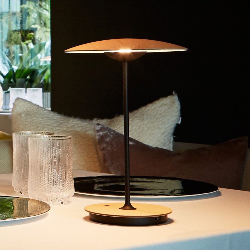 Elaarelia tafellamp slank minimalistisch
