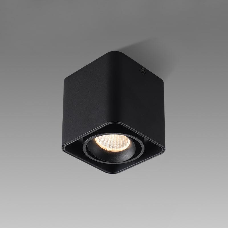 Devely Spotlight Vlakke Plafondmontage Dubbele LED Hoekige Minimalistische