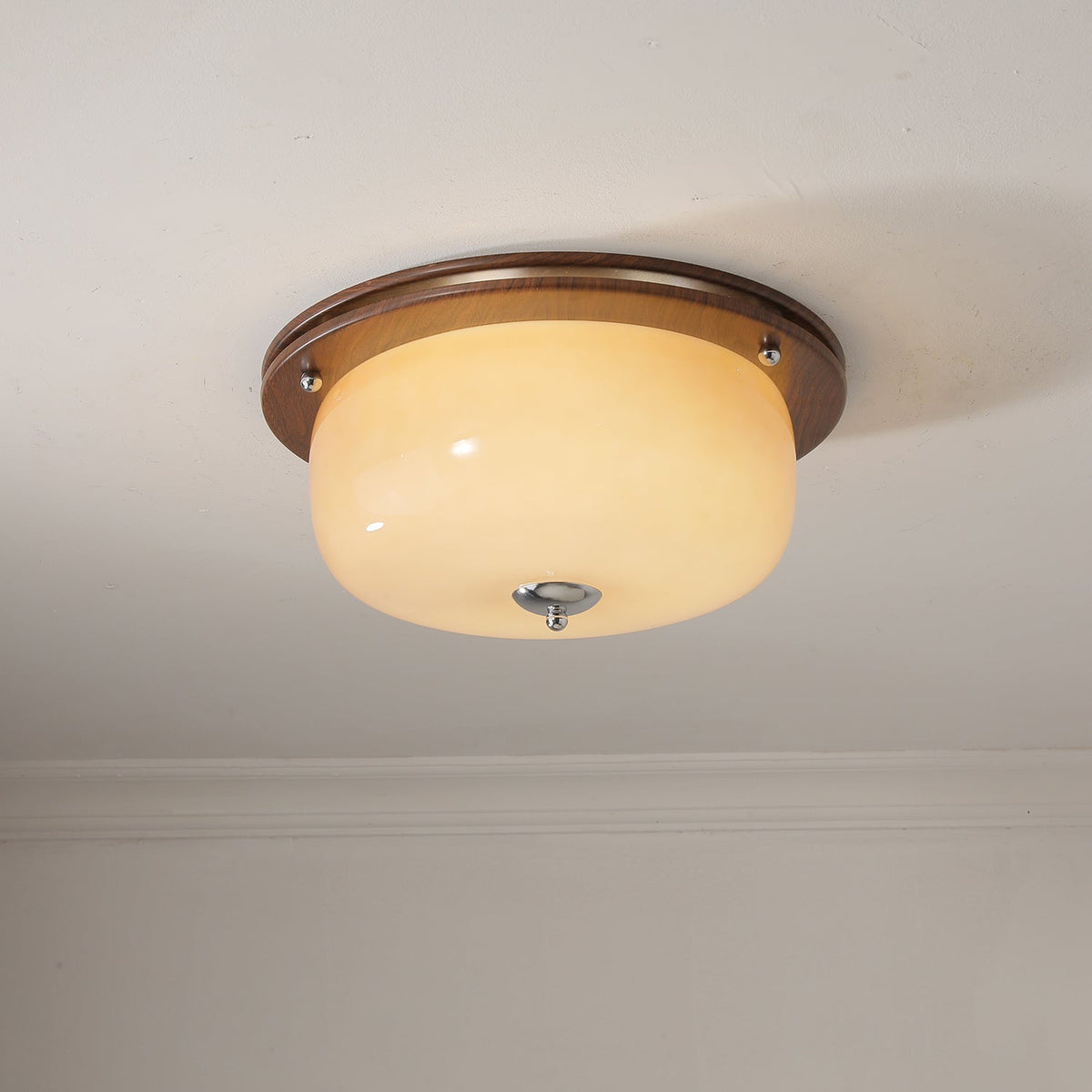 Vetheel Premium Noords Kunstzinnig Koepel Glas Plafondlamp